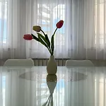Stipic 1 Apartman